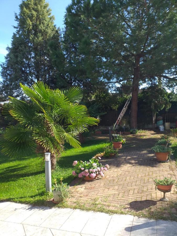 Antica Cascina B&B Borghetto Lodigiano Eksteriør bilde